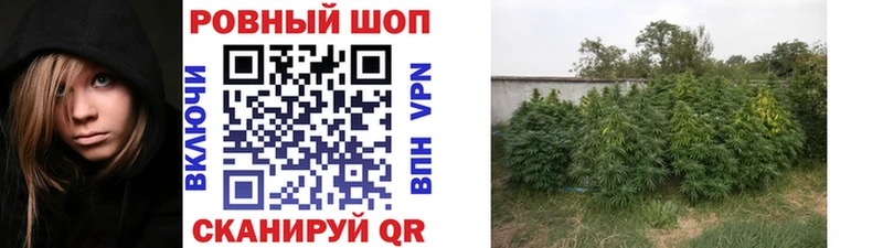 Названия наркотиков Амурск СК  Кокаин  Меф мяу мяу  ГАШ 