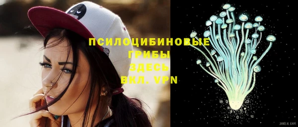 герыч Медногорск