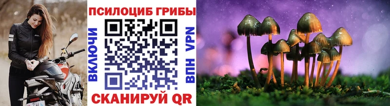 Псилоцибиновые грибы Psilocybine cubensis  Амурск 
