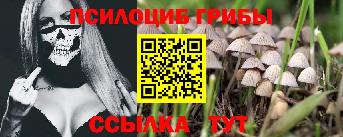 Псилоцибиновые грибы мицелий  Галлюциногенные грибы Psilocybe  Амурск 