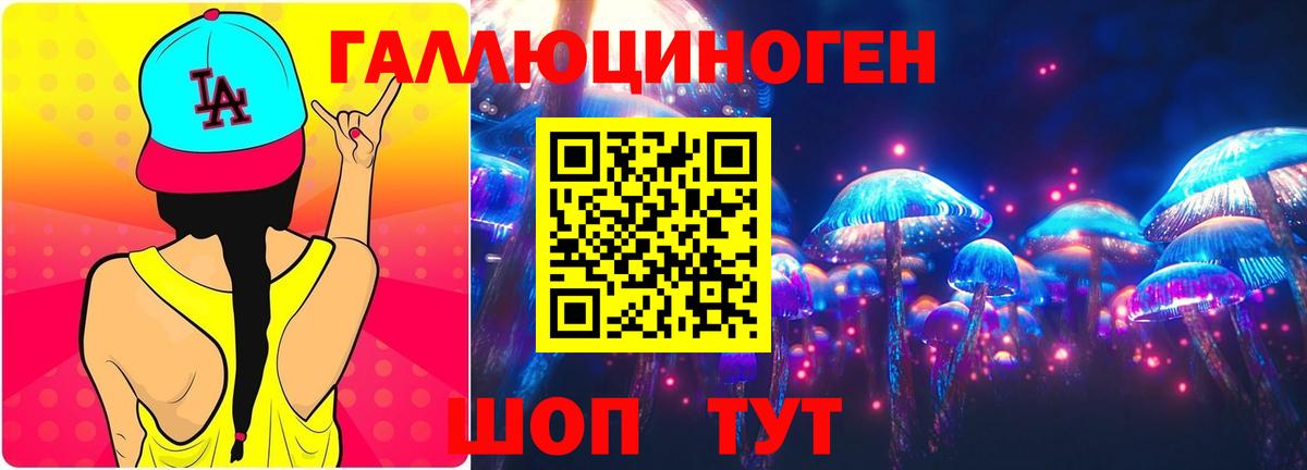 Галлюциногенные грибы Psilocybine cubensis Амурск