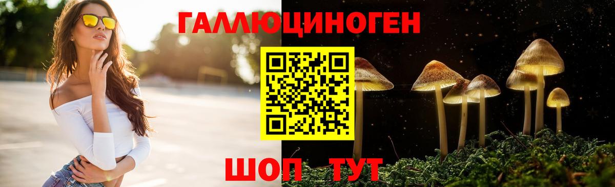 Галлюциногенные грибы ЛСД  Псилоцибиновые грибы прущие грибы  Амурск  Вход с VPN 